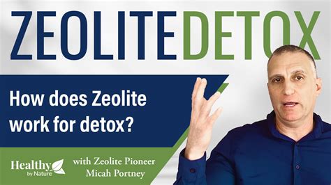 The purpose of the present pilot study was to examine potential alternatives to current iron chelation treatments, and the results indicate an advantage to using zeolites in conditions of iron excess. . Does zeolite remove iron from the body